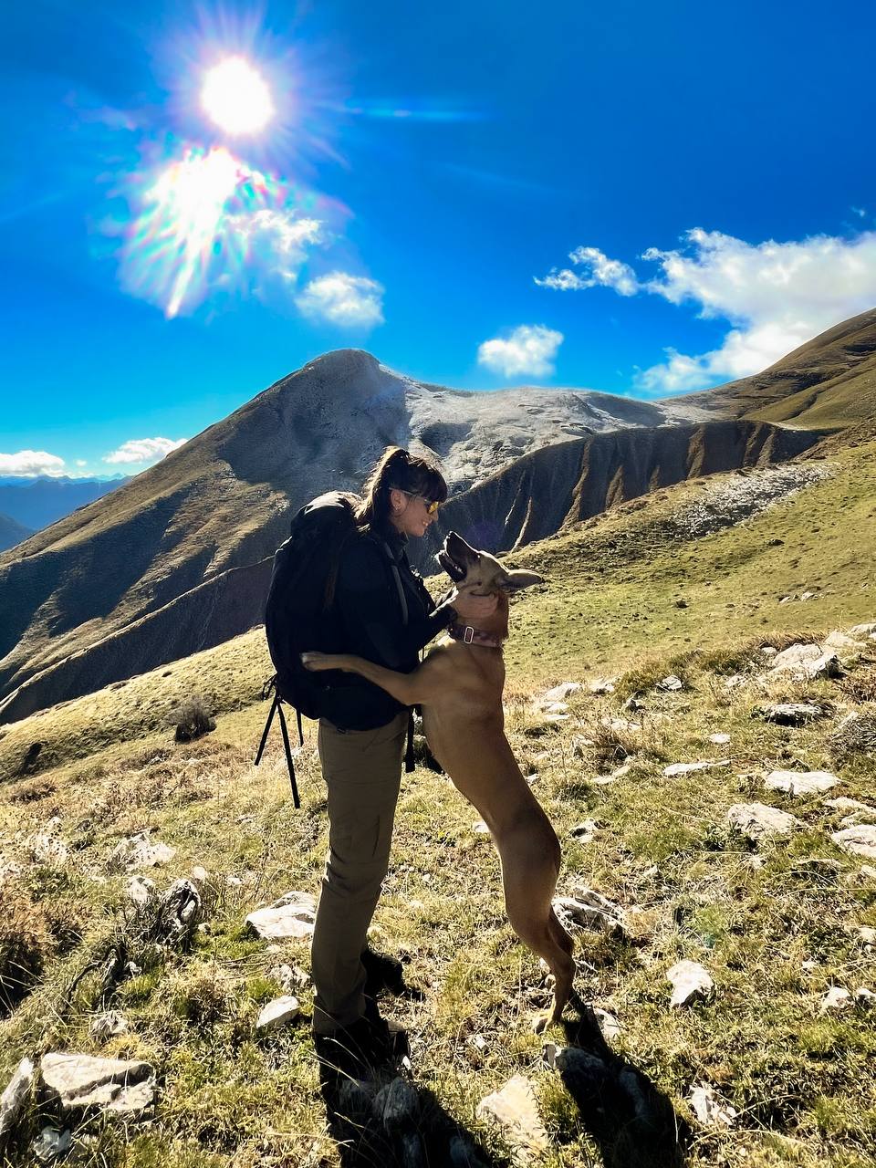 Οφέλη εκδρομών σκύλων - Dog adventures benefits